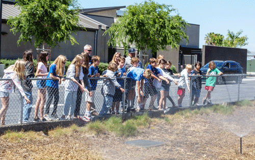Students and irrigation specialist making observations and pointing at a fenced in landscaped area with a sprinkler spraying water